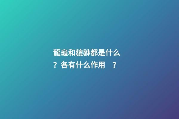 龍龜和貔貅都是什么？各有什么作用？